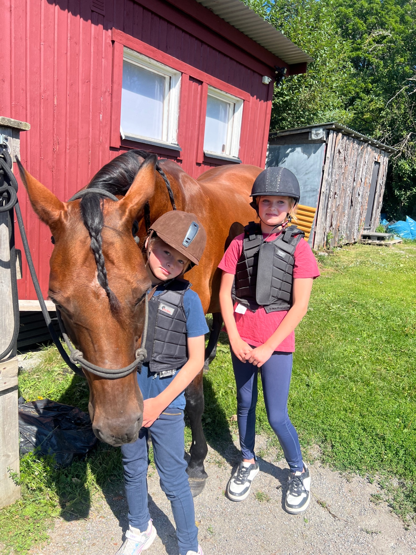 Barn tillsammans med häst på Riala Hästgård