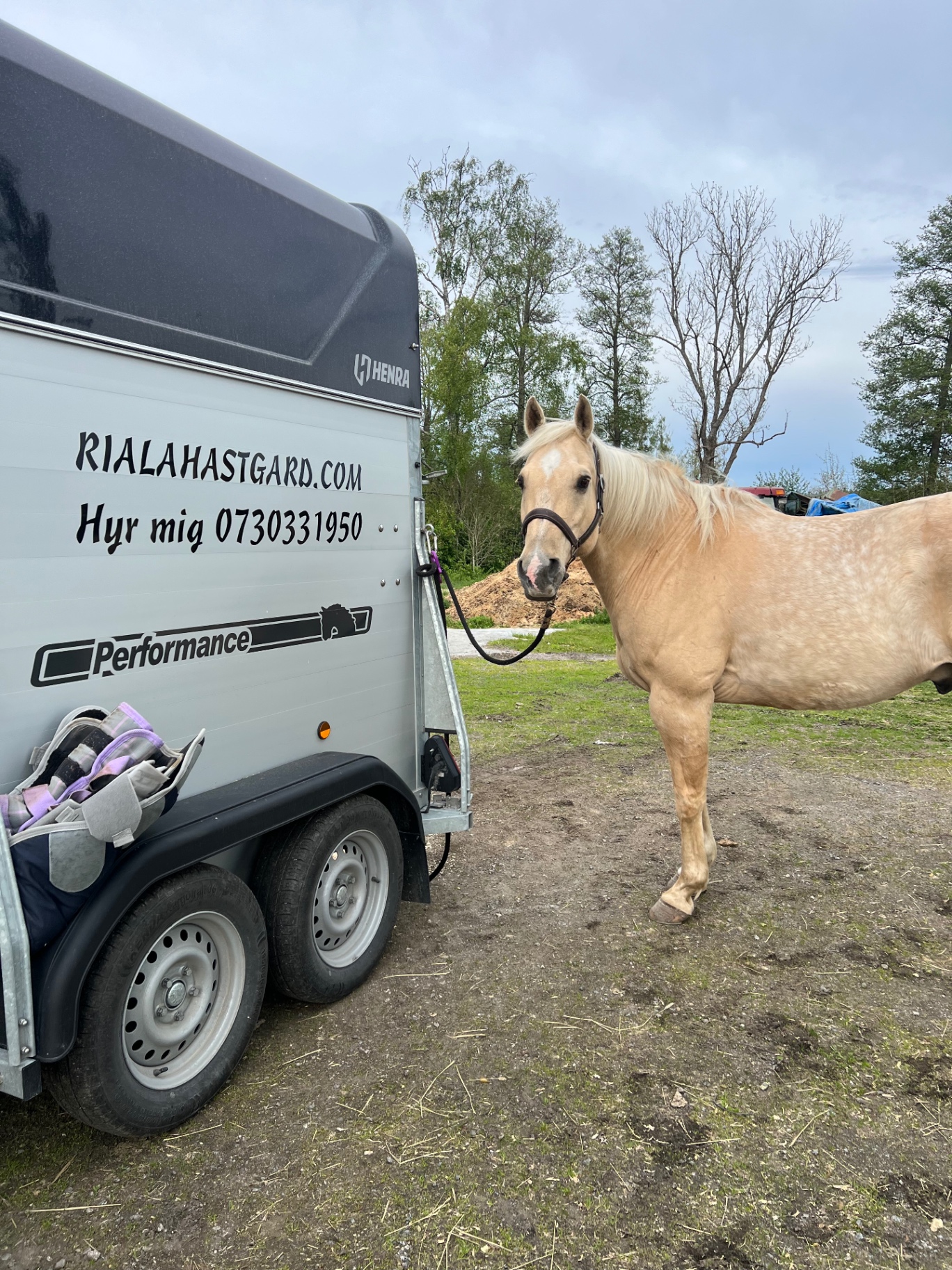 Hyr hästsläp