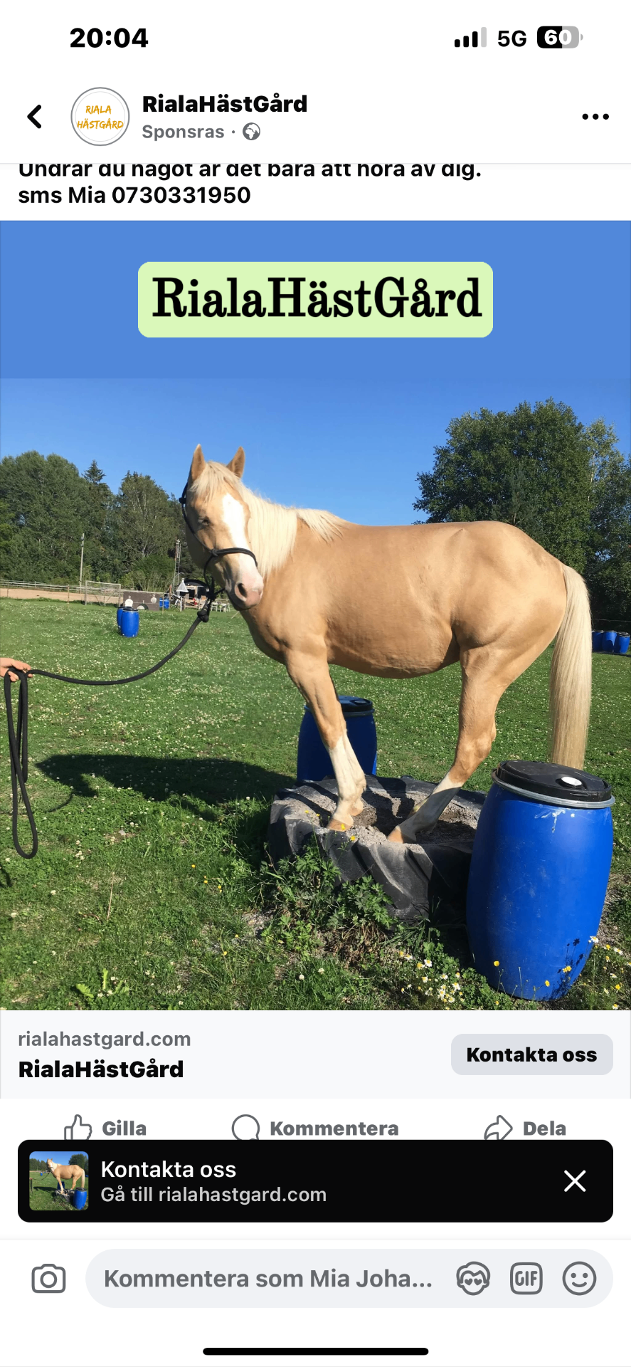 Trail med din häst